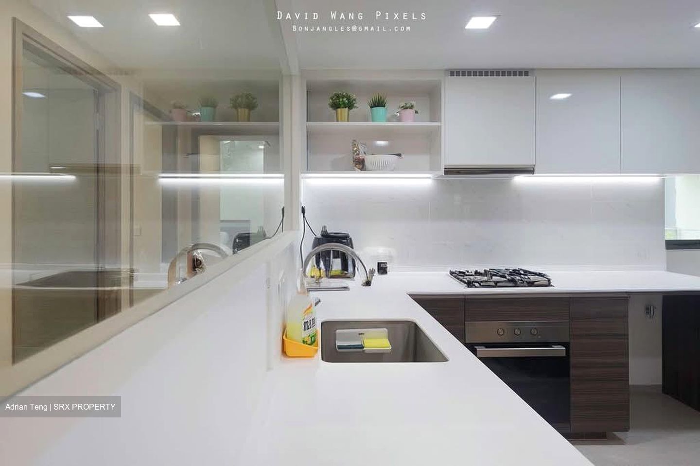 The Terrace (D19), Condominium #565768391